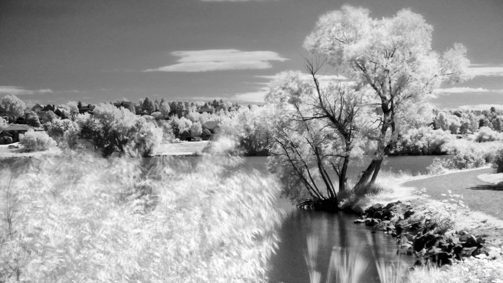 Why Should You Shoot Infrared?