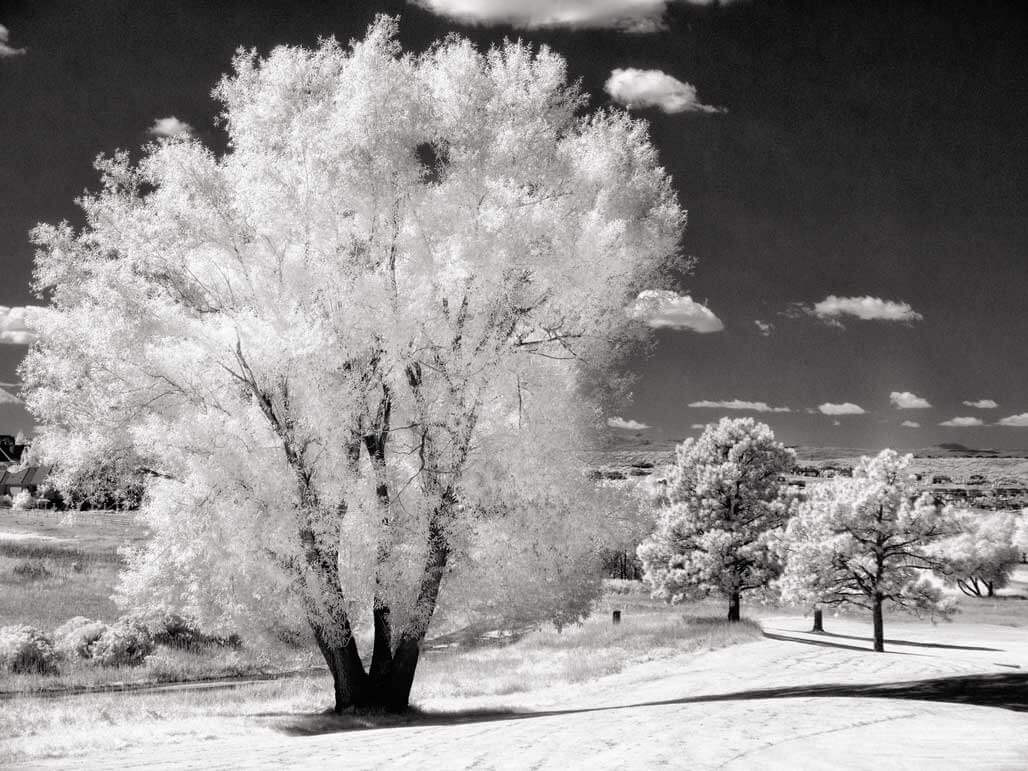 Focusing in Infrared Photography