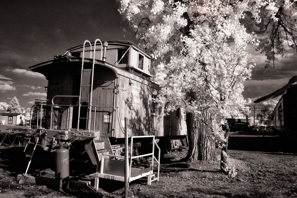 Try Infrared Photography This Summer