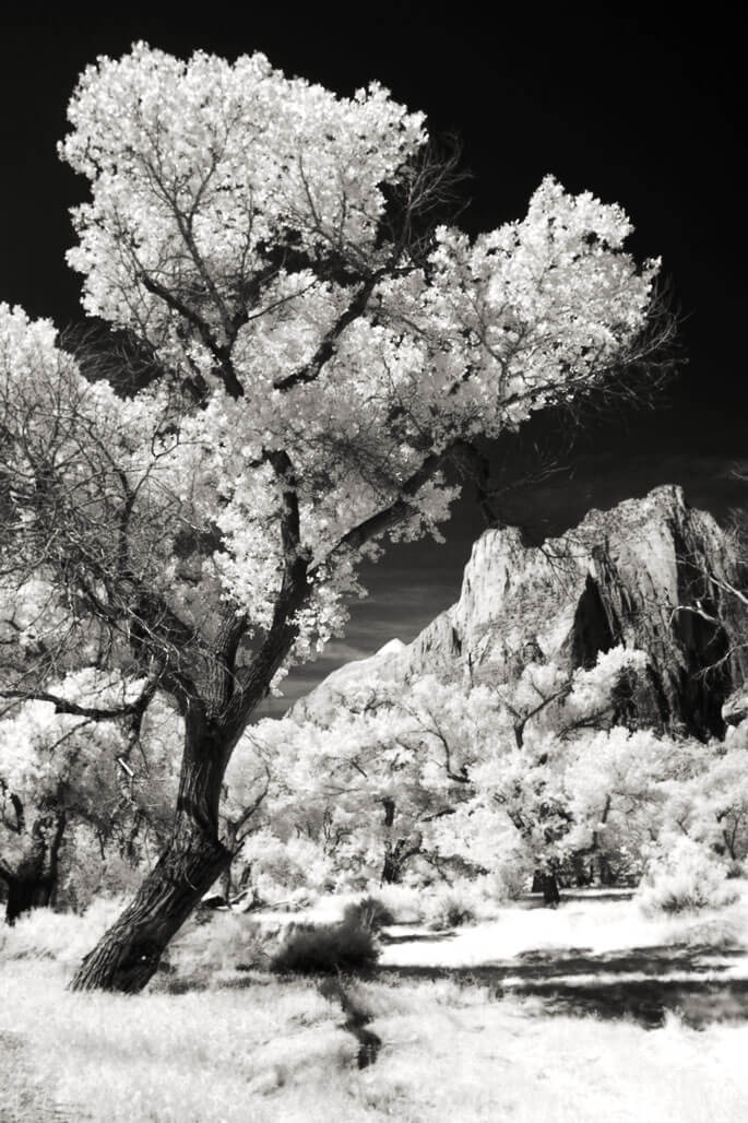 Why I like Infrared Photography