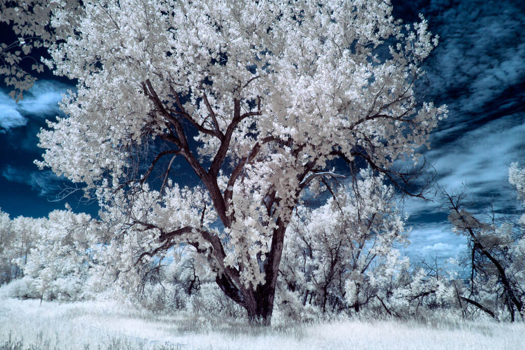 Nanometers and Infrared Photography