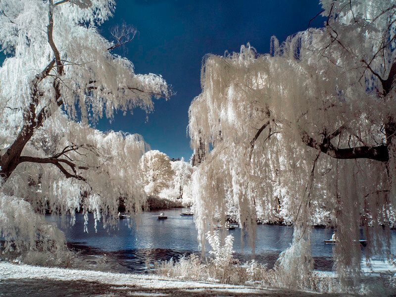 Infrared Photography: It’s Real & Surreal
