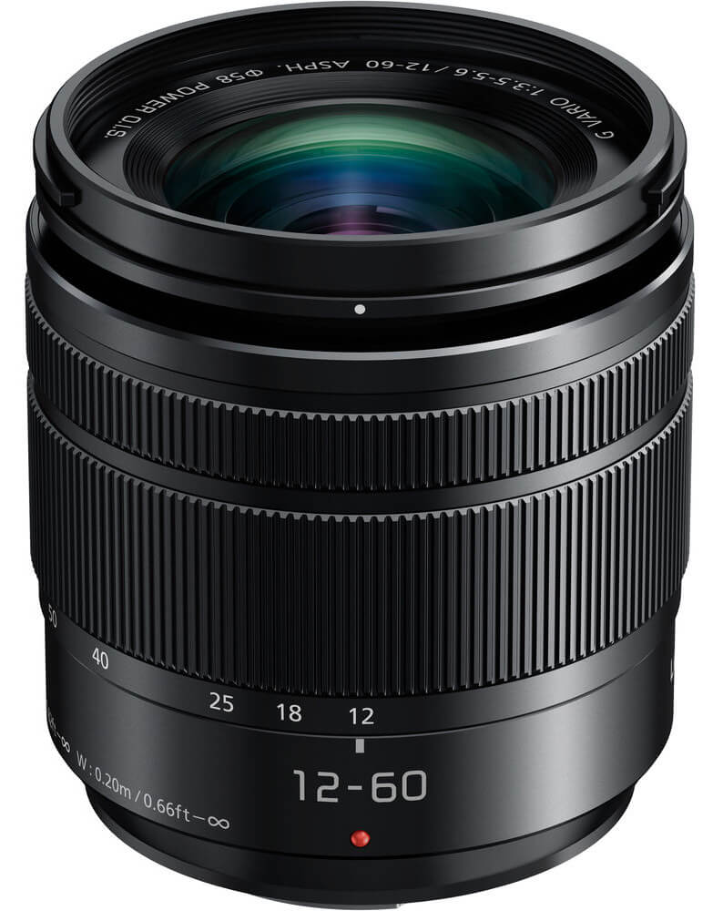 Choosing the Right Lens: Lumix 12-60mm f/3.5-5.6
