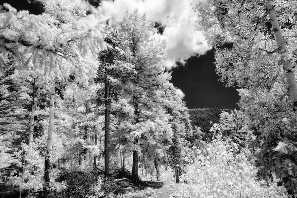 Mt.Evans.IR