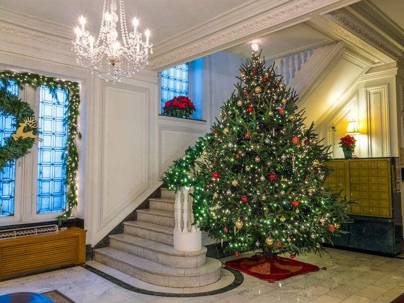 Photographing Lobby Christmas Trees